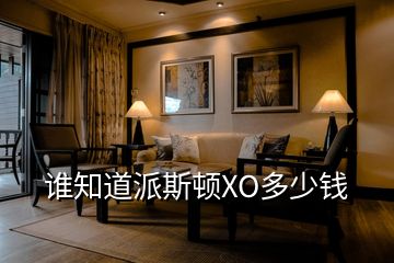 誰知道派斯頓XO多少錢