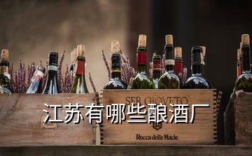 江蘇有哪些釀酒廠