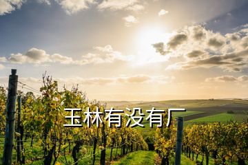 玉林有沒(méi)有廠