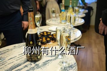 柳州有什么酒廠