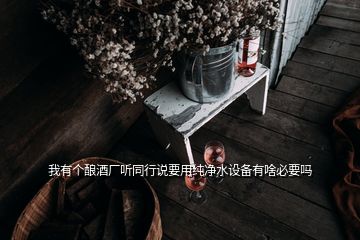 我有個(gè)釀酒廠聽同行說(shuō)要用純凈水設(shè)備有啥必要嗎