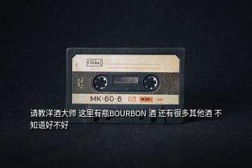 請(qǐng)教洋酒大師 這里有瓶BOURBON 酒 還有很多其他酒 不知道好不好