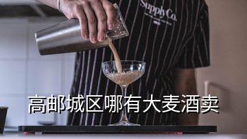 高郵城區(qū)哪有大麥酒賣(mài)