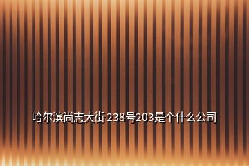 哈爾濱尚志大街 238號203是個什么公司