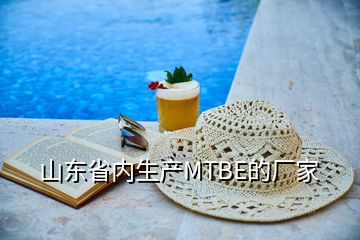 山東省內(nèi)生產(chǎn)MTBE的廠家