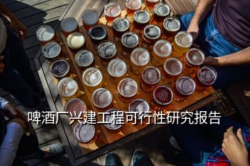 啤酒廠興建工程可行性研究報告