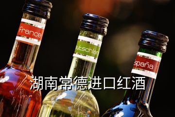 湖南常德進口紅酒