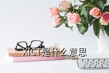 XICT是什么意思