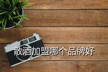 散酒加盟哪個(gè)品牌好