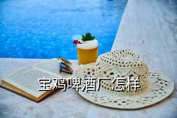 寶雞啤酒廠(chǎng)怎樣