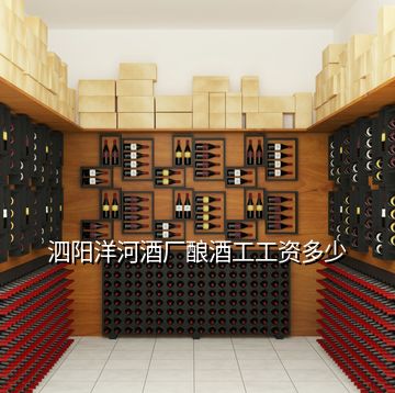 泗陽(yáng)洋河酒廠釀酒工工資多少