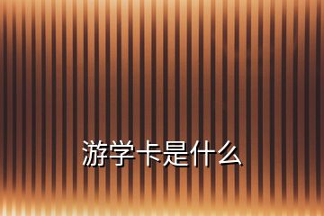 游學(xué)卡是什么