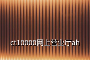 ct10000網(wǎng)上營(yíng)業(yè)廳ah