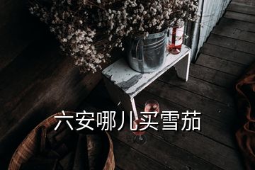 六安哪兒買雪茄