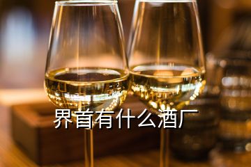 界首有什么酒廠