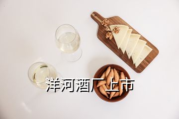 洋河酒廠上市