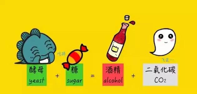 紅酒多少度？是什么影響紅酒的度數(shù)？