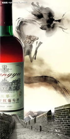 煙臺(tái)葡萄酒文化視頻(煙臺(tái)葡萄酒局)