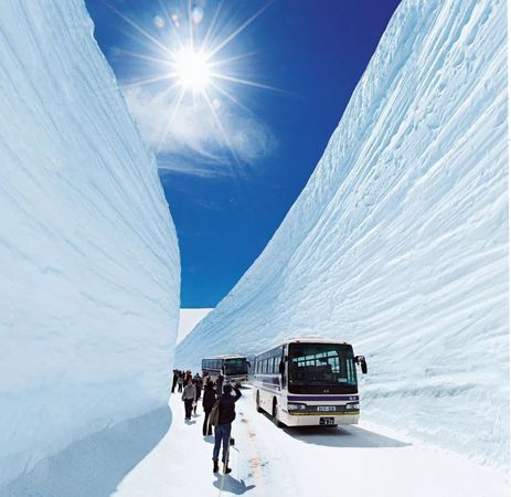 阿爾岱雪2011多少錢(阿爾岱雪紅酒市場價)