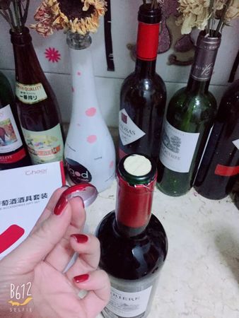 紅酒怎么喝是正確的視頻(紅酒怎么喝是正確的視頻教程)