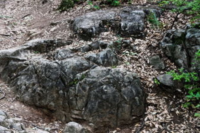 山里泉(山里泉在哪個地方)