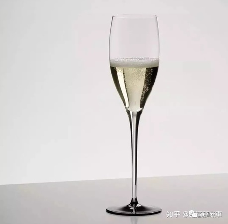 葡萄酒配什么杯(葡萄酒用什么杯)