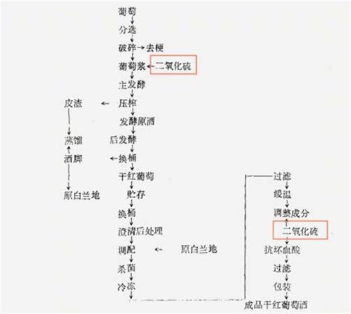 紅酒中為什么會(huì)含有亞硫酸鹽,葡萄酒中文標(biāo)怎么有亞硫酸鹽