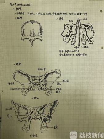 生物動力葡萄酒,什么是生物動力