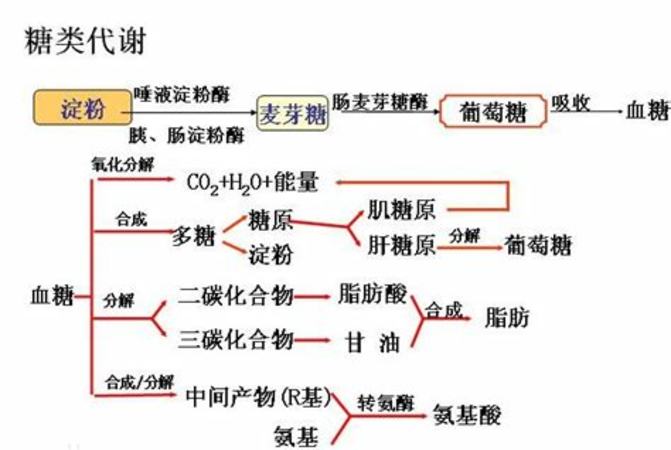 葡萄是酸的告訴我們什么道理,什么葡萄是酸的