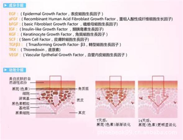 意大利卡迪羅拉怎么樣,卡蒂羅這個牌子怎么樣