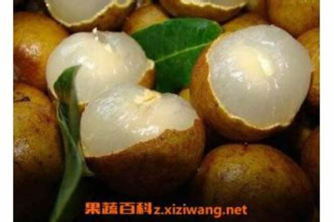 果酒對(duì)身體怎么樣,論果酒的營(yíng)養(yǎng)價(jià)值