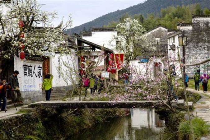 東北小村外多少錢(qián),小村外酒業(yè)崛起的背后