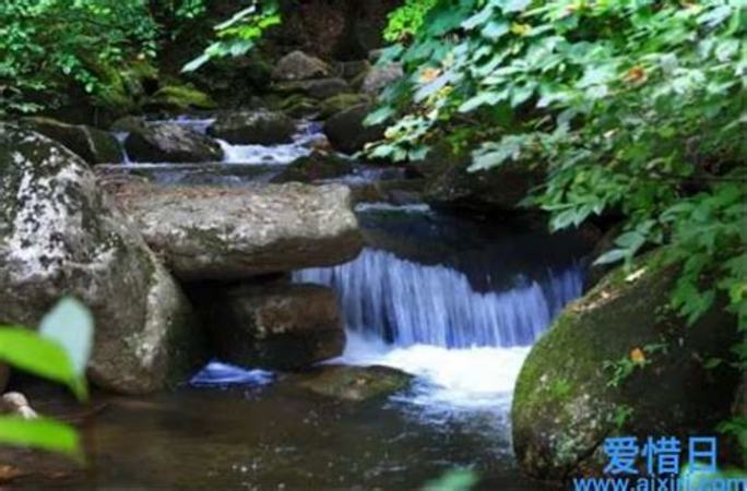 廬山什么酒好,貴州大曲生肖虎的廬山真面目