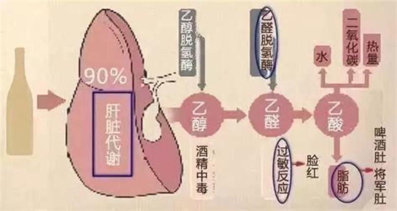 喝紅酒什么感覺(jué),你喝葡萄酒時(shí)的感覺(jué)是什么