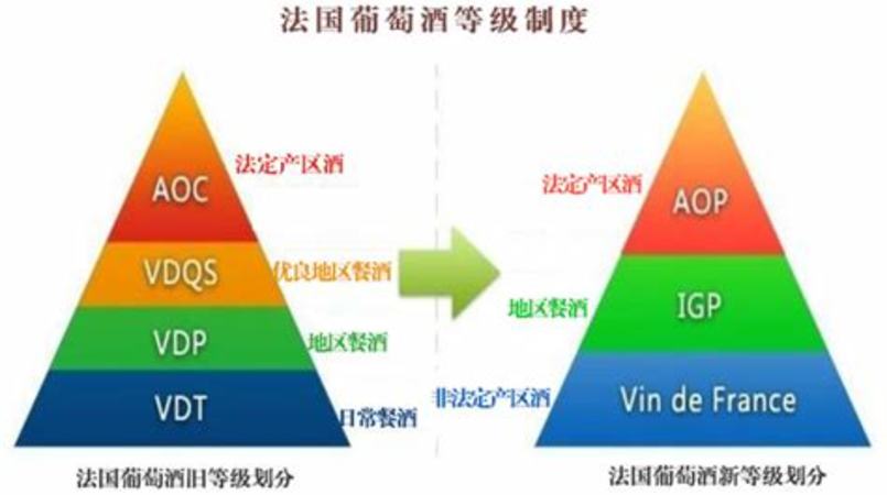 如何判斷葡萄好壞,怎樣分辨葡萄酒質(zhì)量好壞